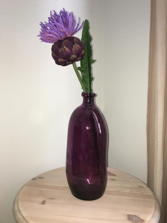 The Abbeyhill Bonnie Thistle Apartment *
