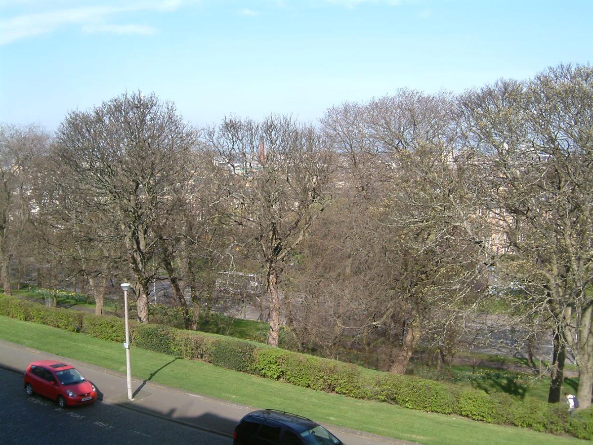 Terrace Hotel