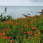 Loft Apartment In Joppa