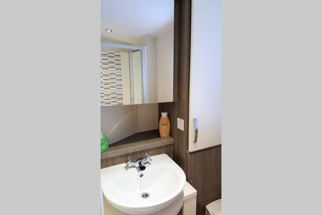 - Seton Sands-cameo Caravan-pet Friendly Ferienhaus