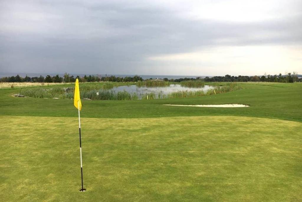 Ferienhaus - Seton Sands-cameo Caravan-pet Friendly EDI