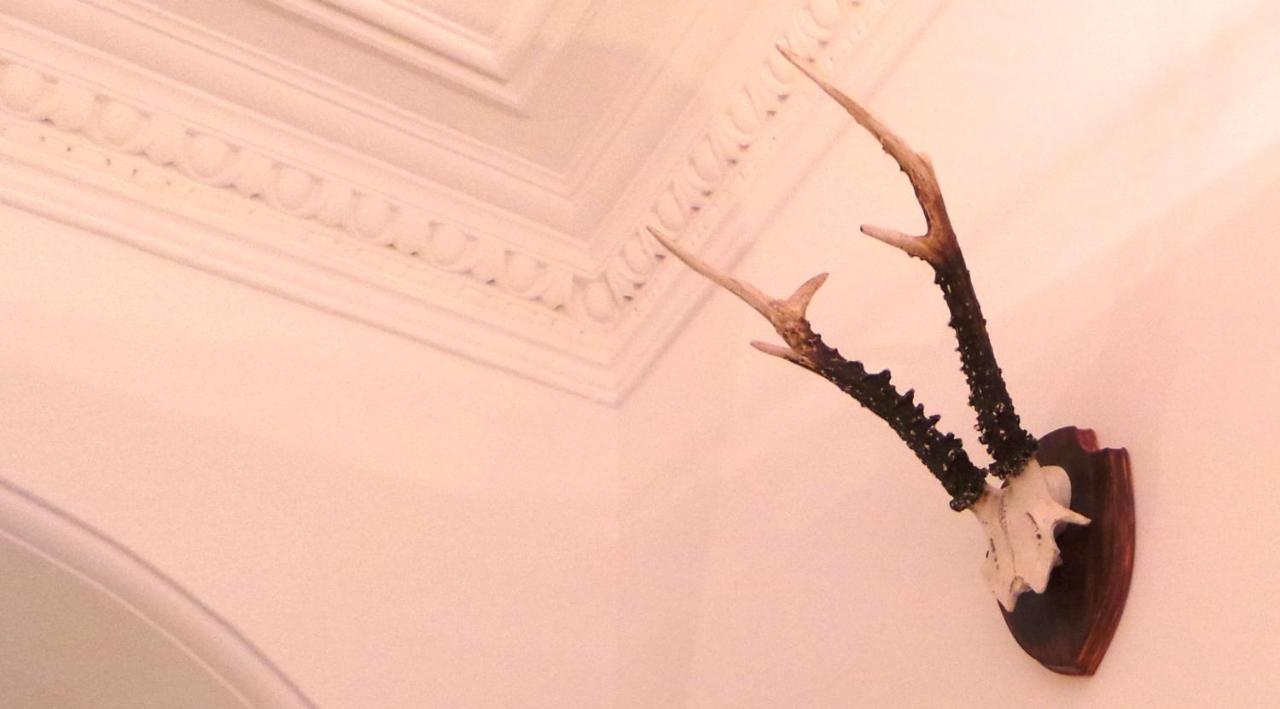 Antler 4* Edinburgh