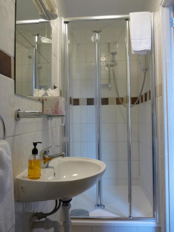 Guest house Alba Hills 3*