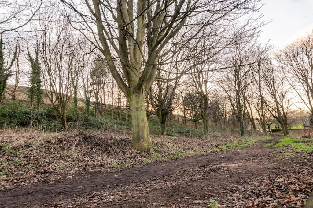 Holyrood Park: Lush & Arty 2 Double Bed Flat EDI