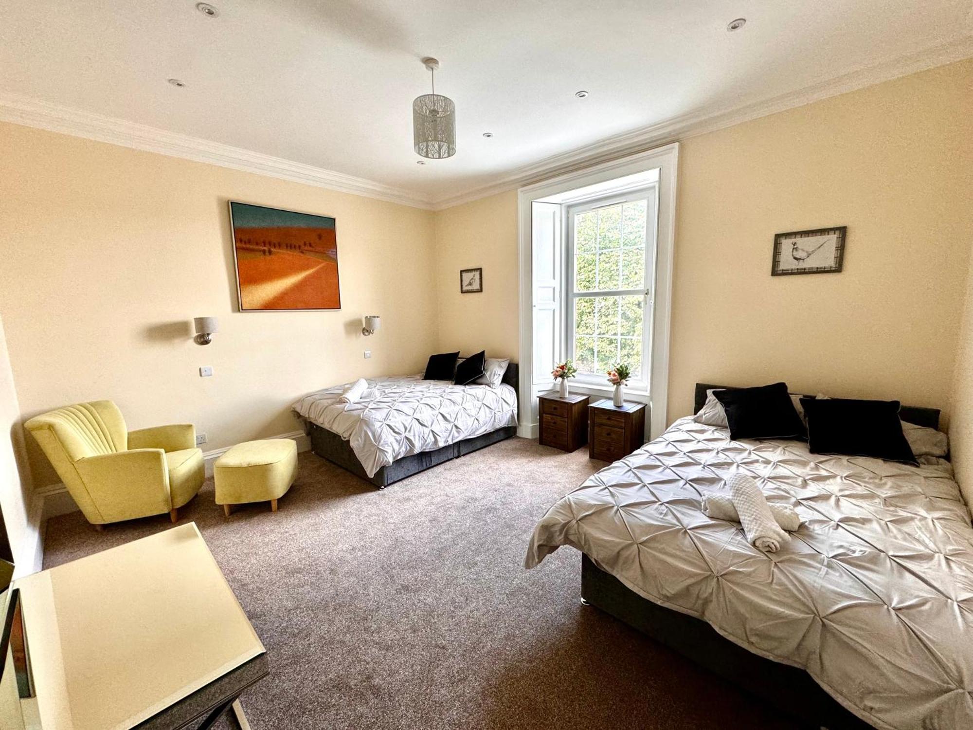 Luxury - Meadowbank Fast Wifi Apartment