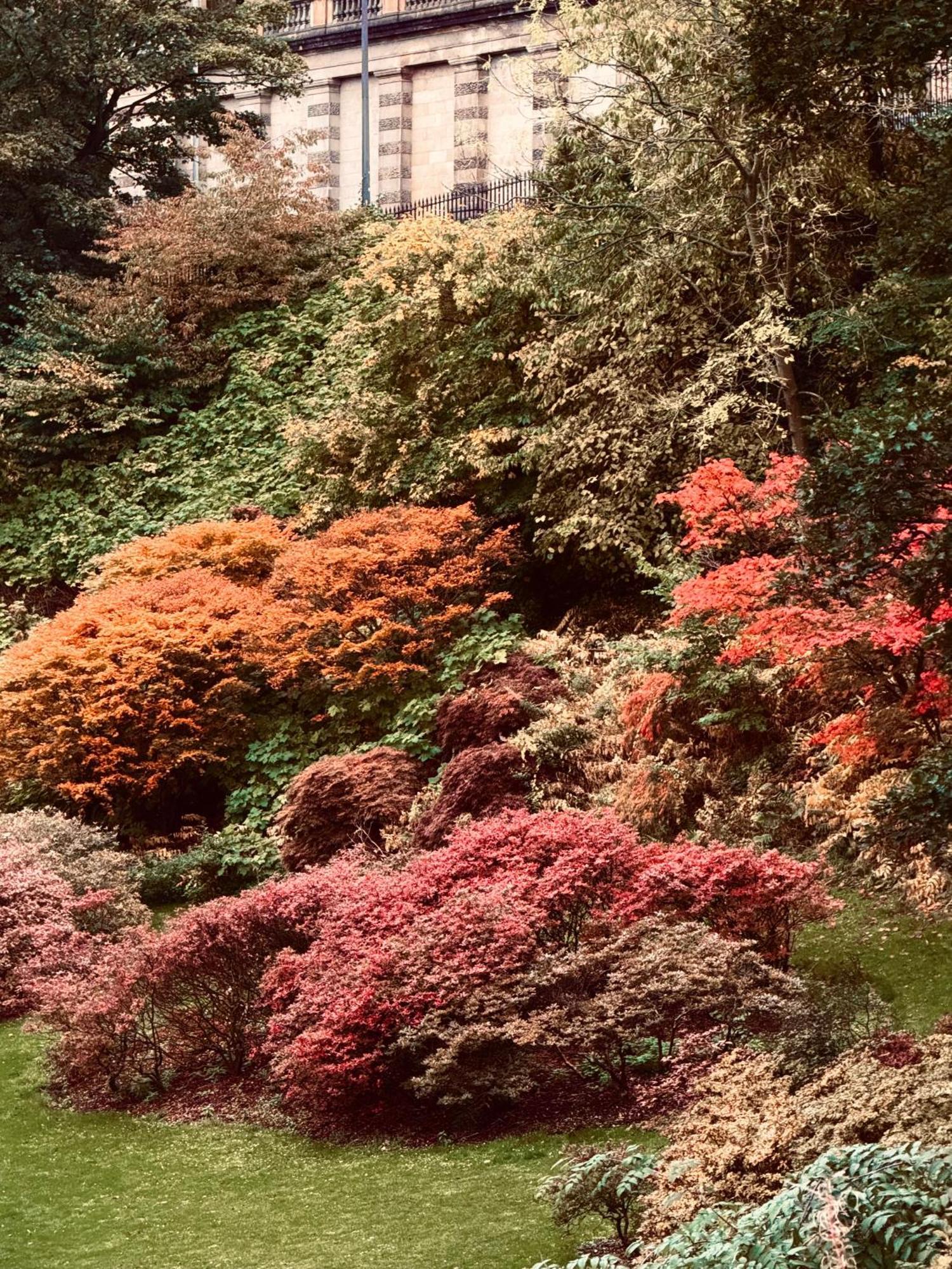 Elumid Dreams Edinburgh