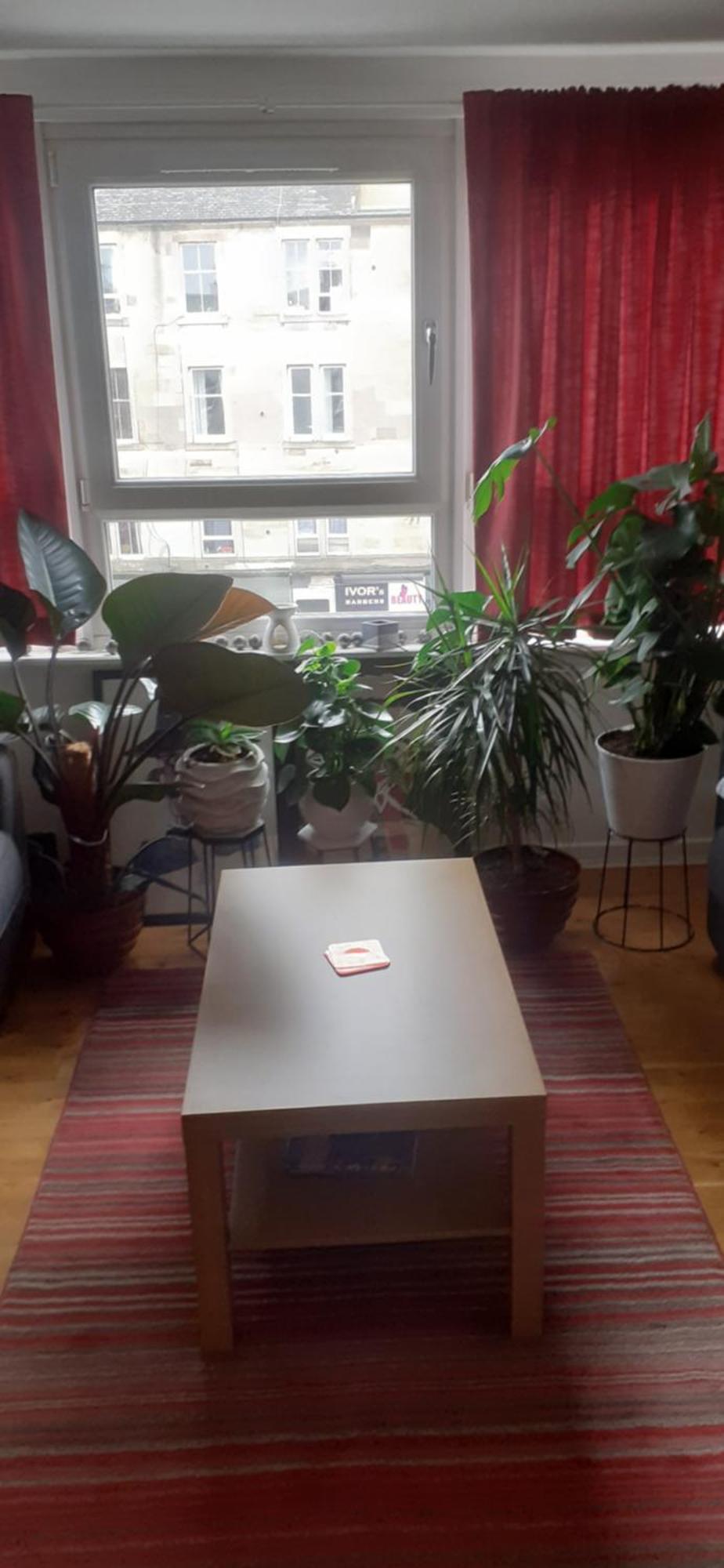 Beautiful King In Leith Walk Guest house