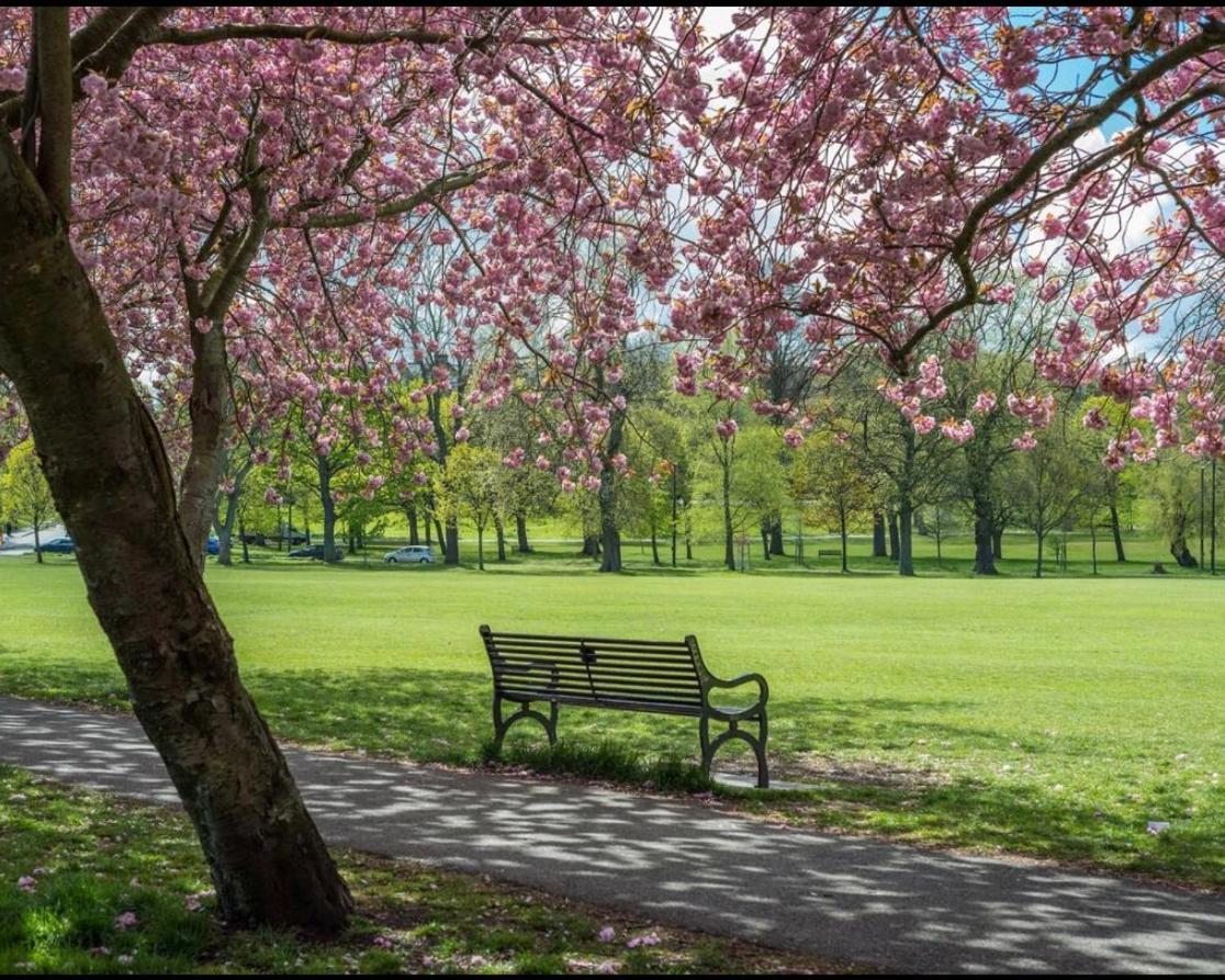 Apartment Lovely One-bedroom Meadows Park Location *