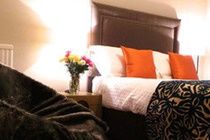 Antler Guest house