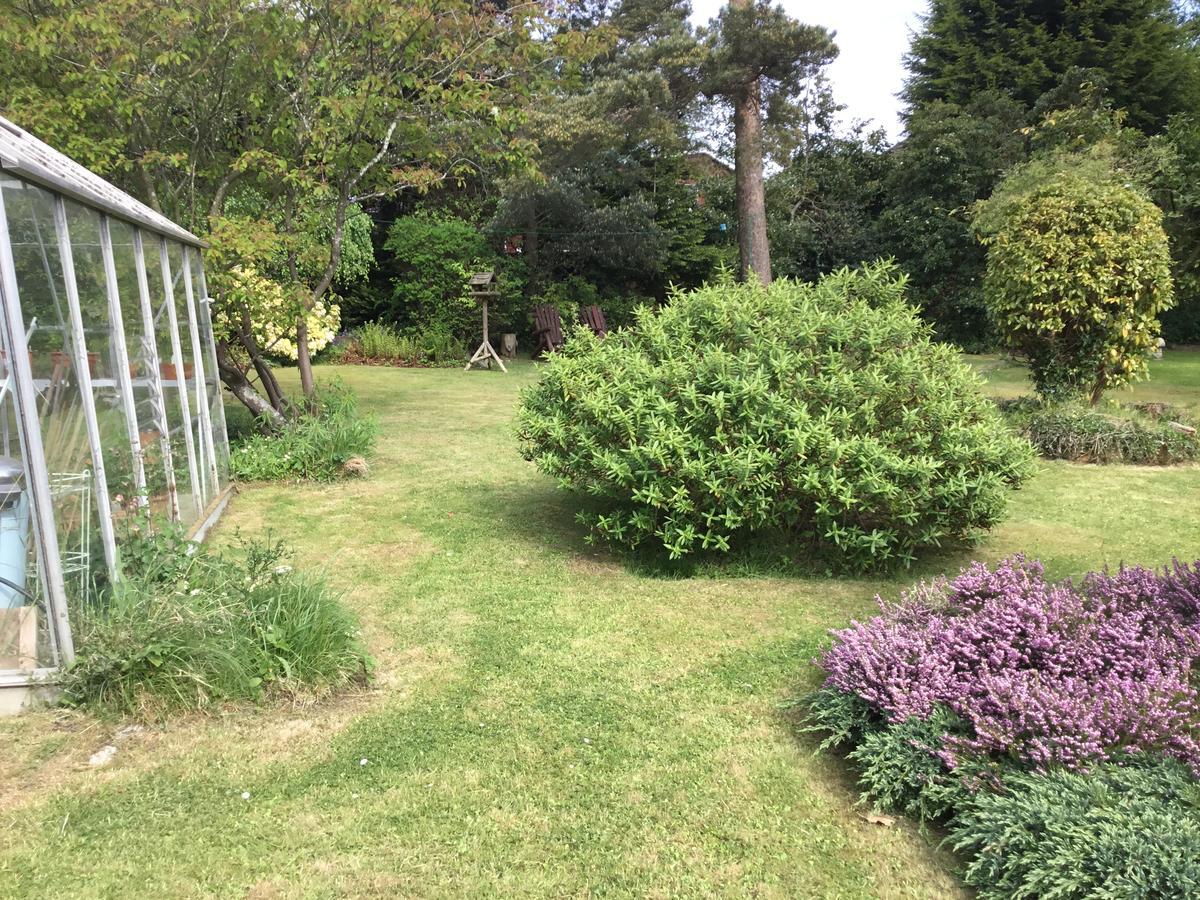 Bed & Breakfast Ingleneuk 3*