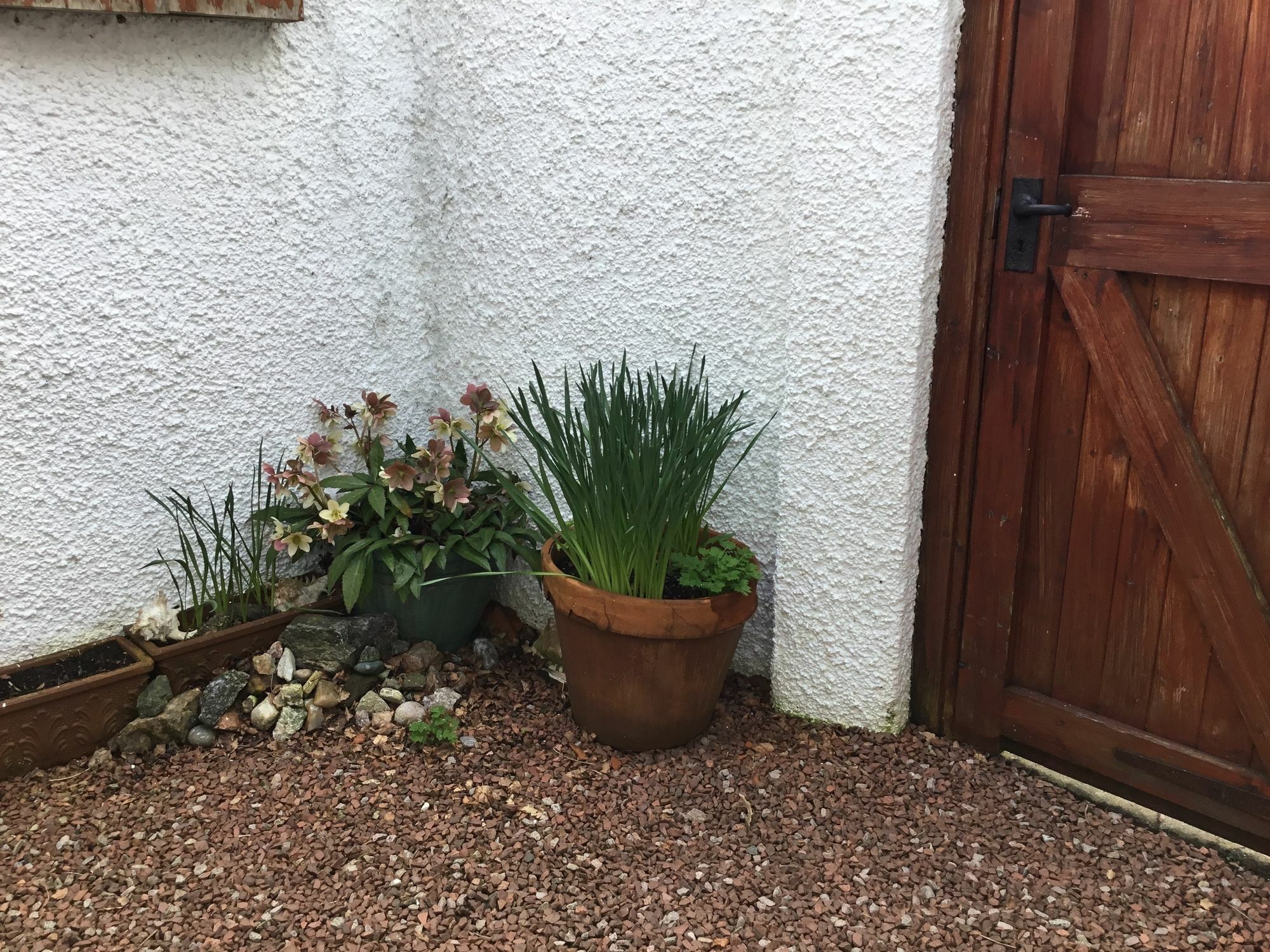 Bed & Breakfast Ingleneuk Edinburgh