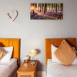 Warm&Welcoming City Centre Apartments By Meadows 9