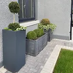 Festival Villa And City Villa
