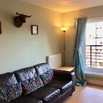 20/5 Timber Bush