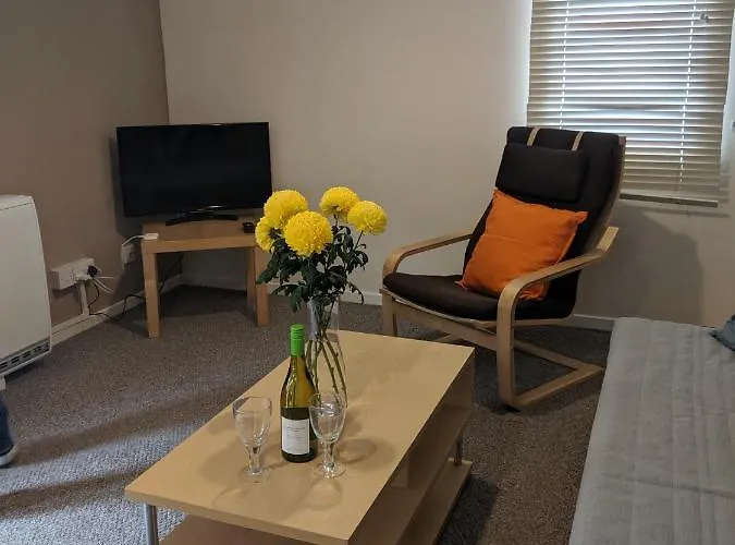 Bright Spacious Flat Near Royal Mile