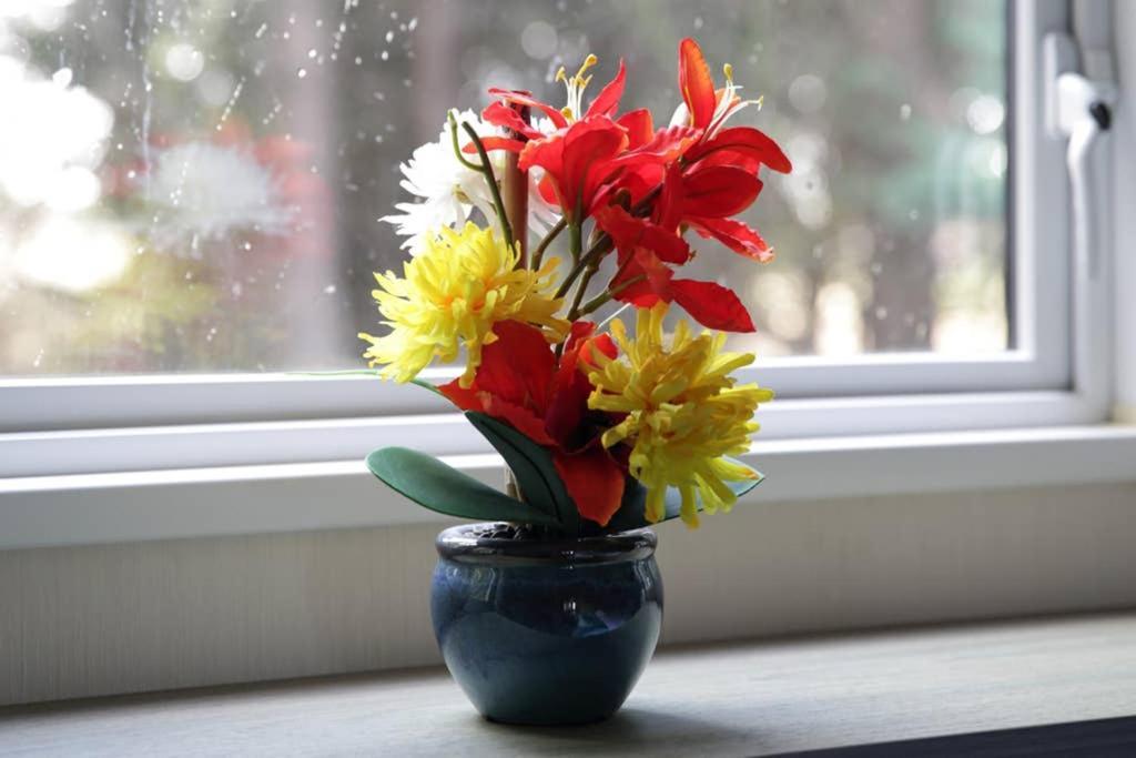 Holiday home - Seton Sands-cameo Caravan-pet Friendly