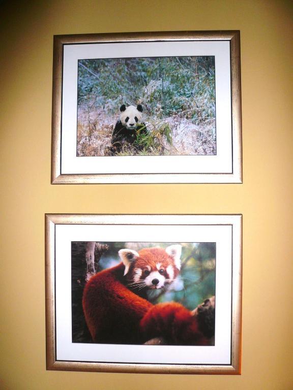 Panda Bed & Breakfast 4*