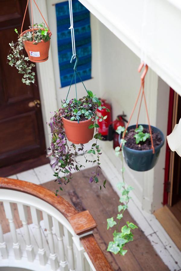 Homestay Netherbrae Edinburgh