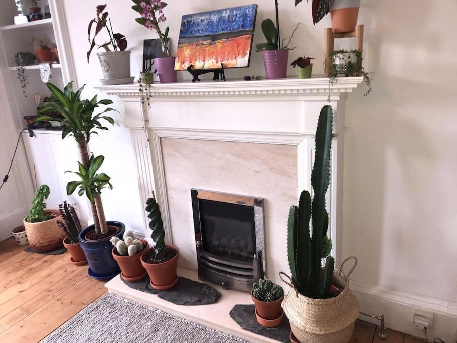 Cosy 2 Bedroom Flat In Apartment Edinburgh