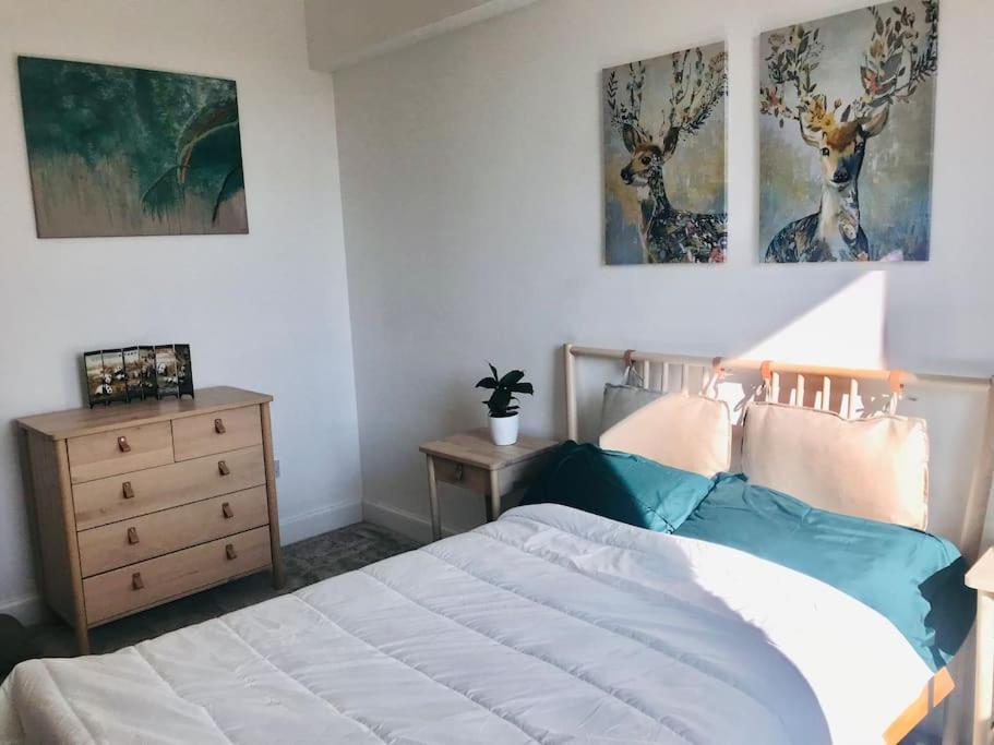 Cosy 2 Bedroom Flat In