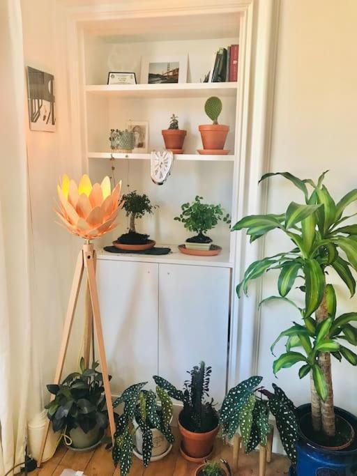 Cosy 2 Bedroom Flat In Apartment