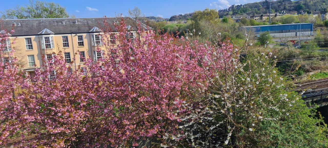 Penthouse Apartment Sleeps 11 * EDI