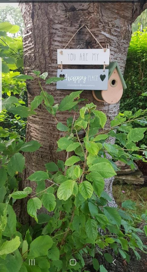Garden Retreat EDI