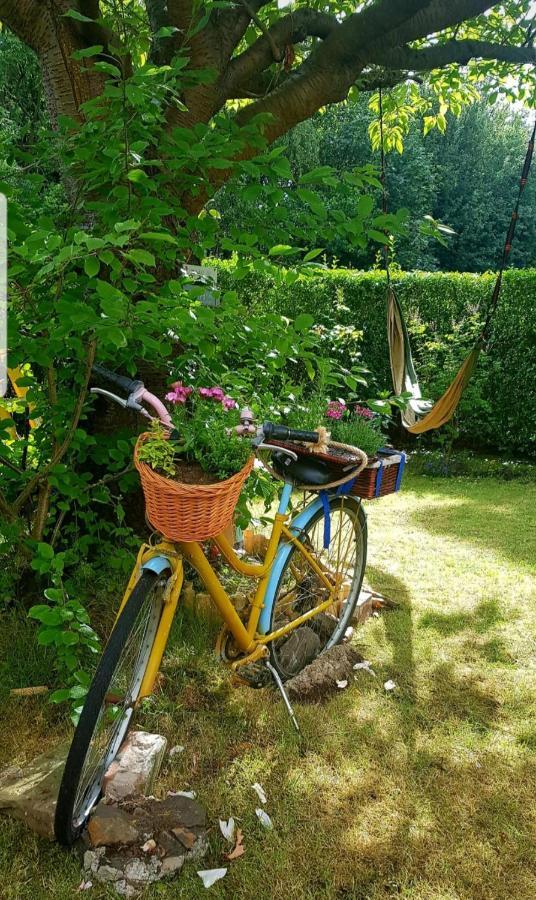 Garden Retreat Apartment