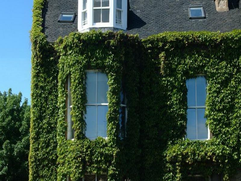 Gasthof A-haven Townhouse