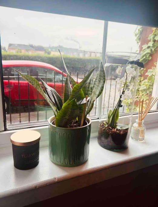 Large 2 Bedroom, Ground Floor Flat, Close To Apartment *