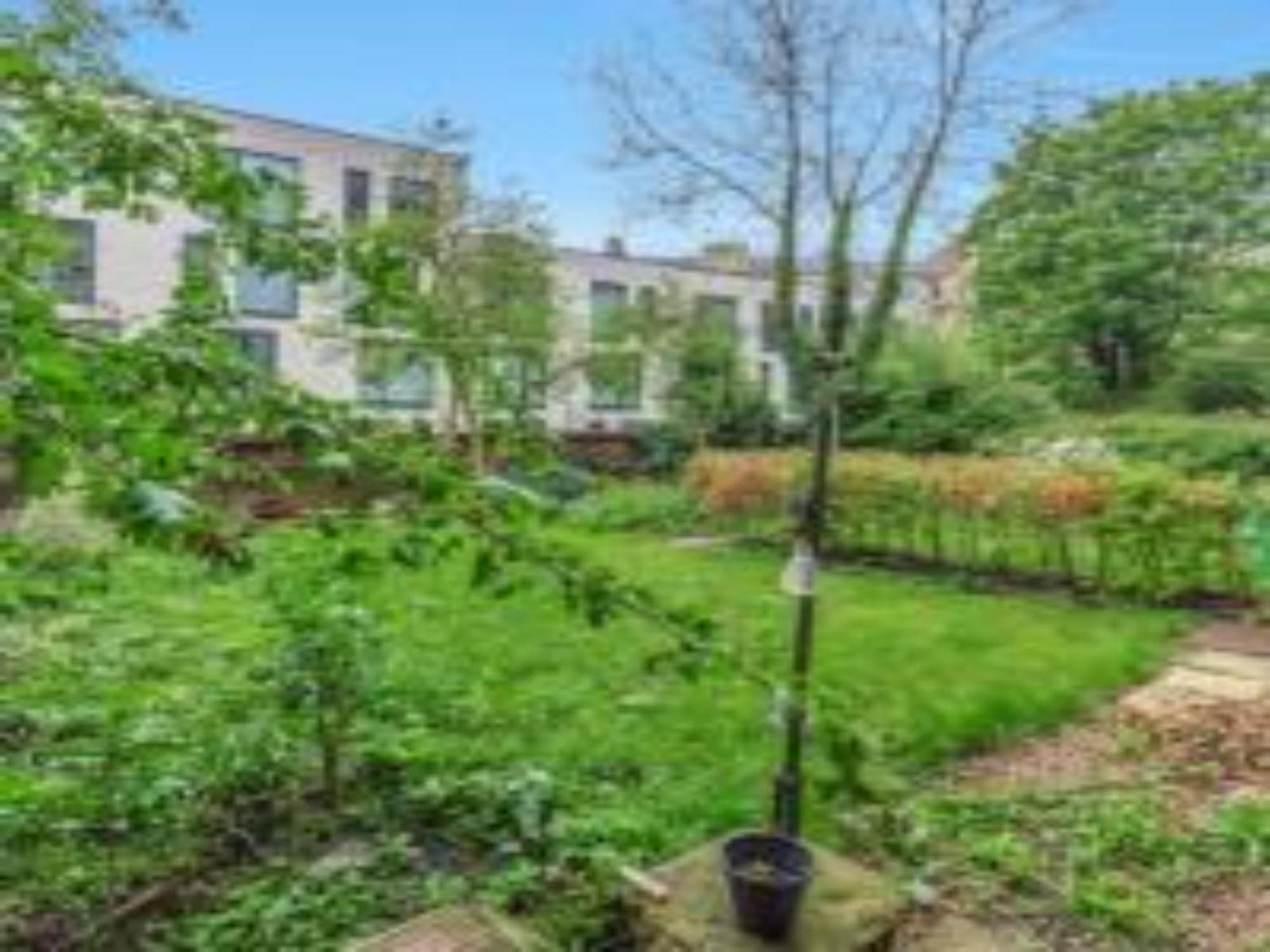 Pass The Keys Main Door 3 Bed With Free Parking * Edinburgh