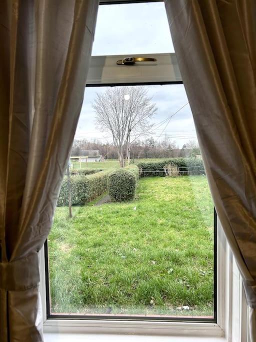 Urban Oasis:perfect In City Apartment EDI