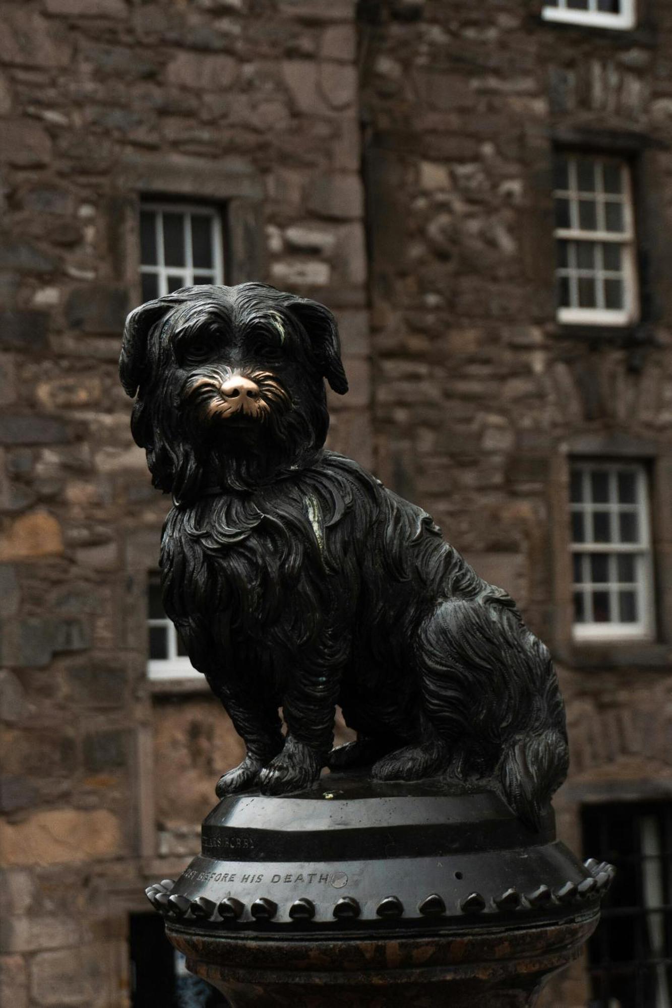 Greyfriars Apartment Edinburgh