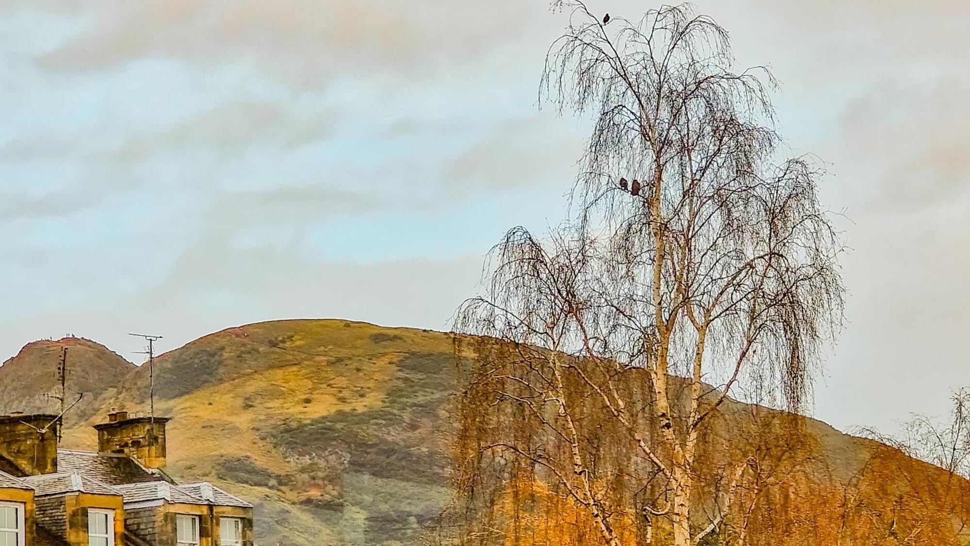 Mayfield Edinburgh