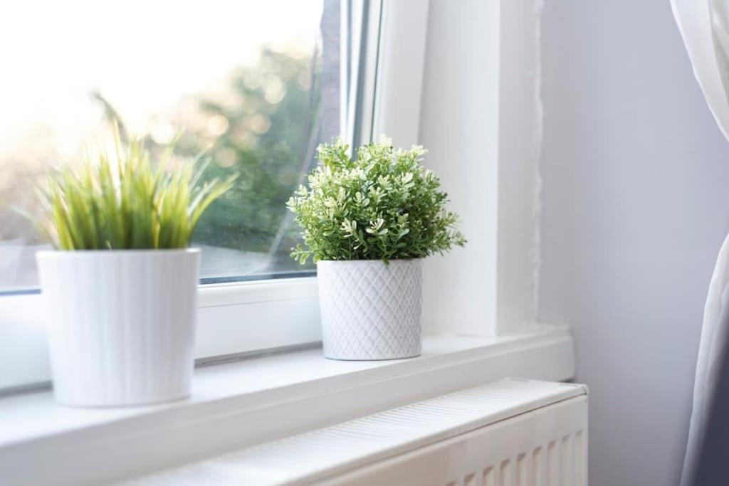 Cosy And Chic, Quiet In Leith *