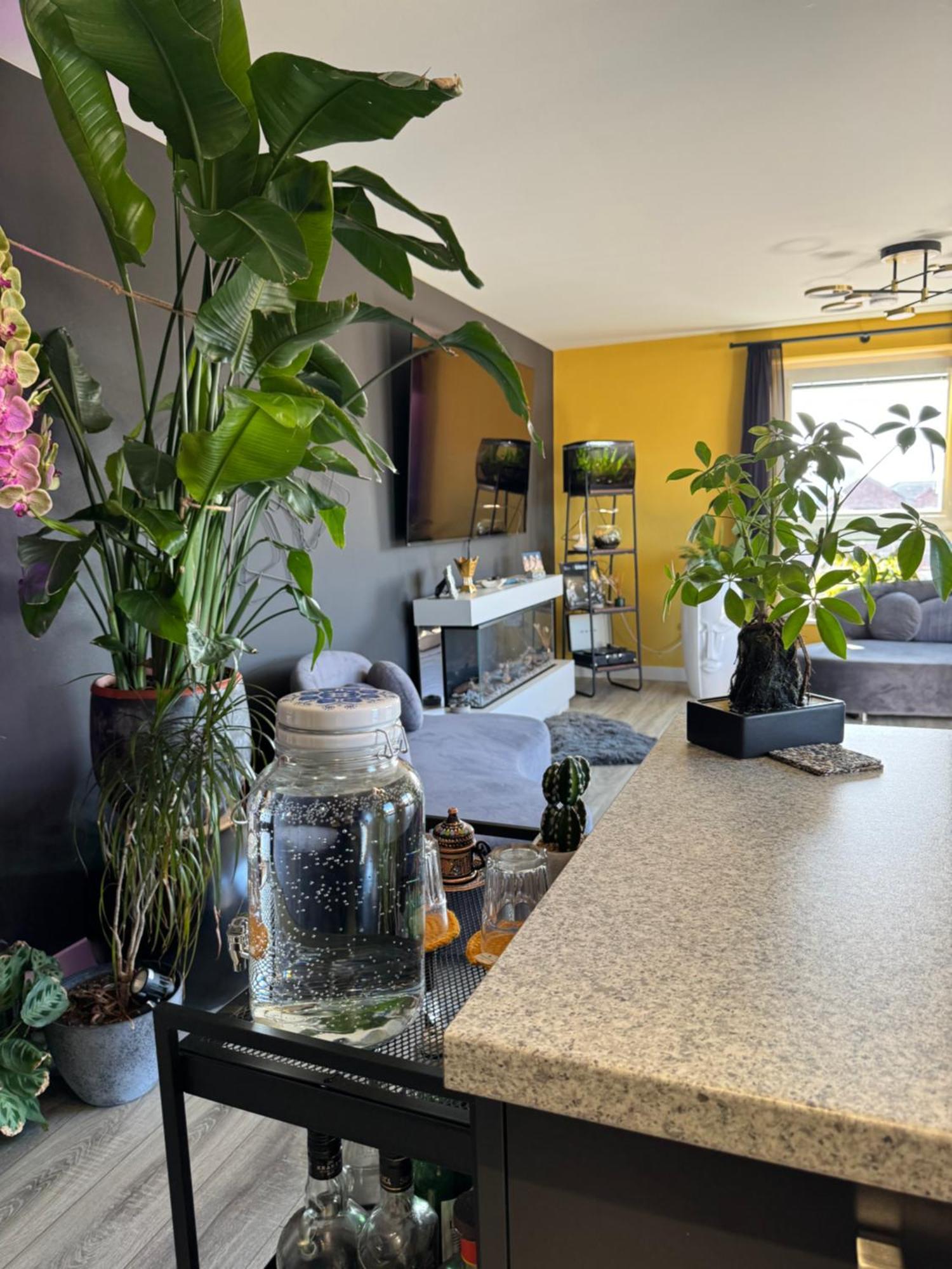 Homestay Cozy & Stylish In *