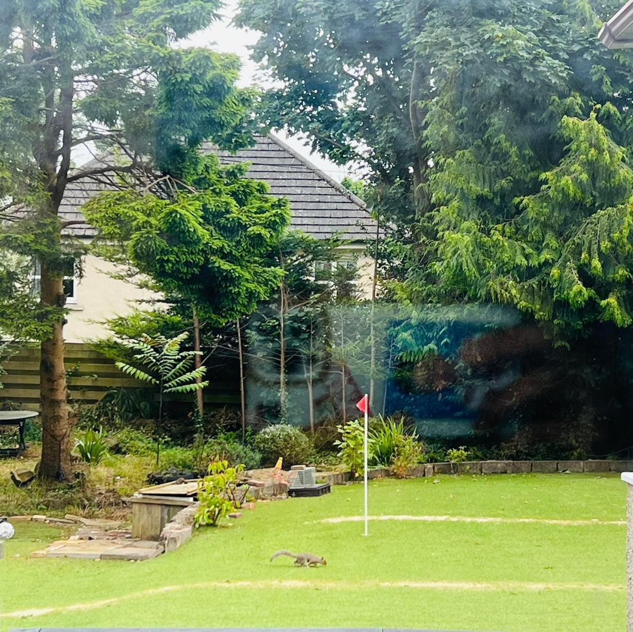 Guest house Full House *