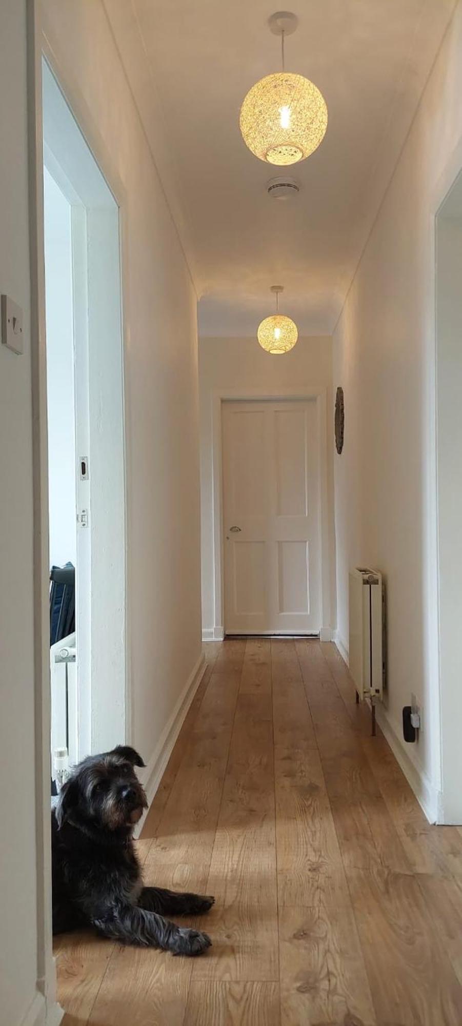 Ferienhaus Lovely Sea Rooms, Easy Access To Centre & Airport