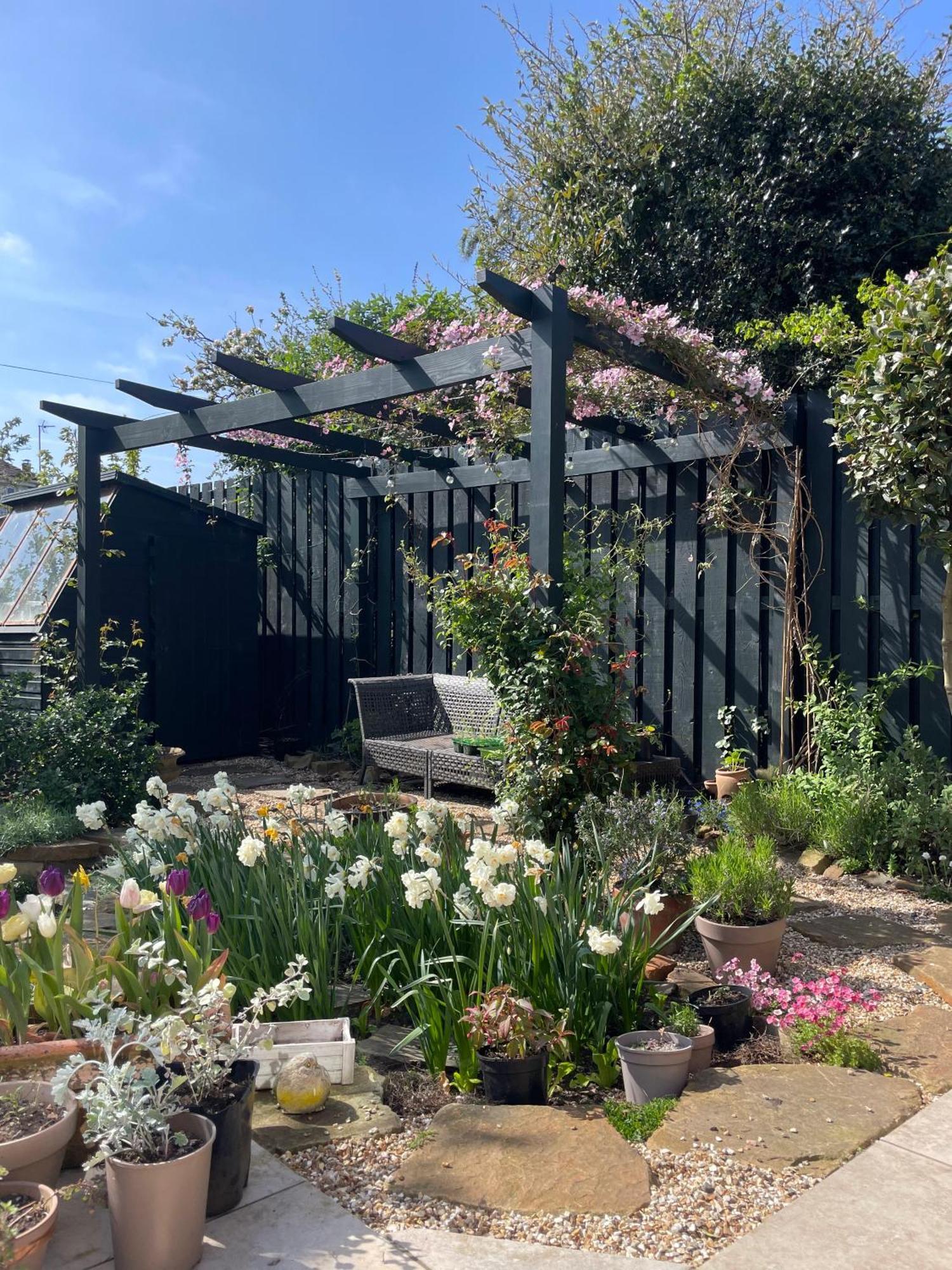Homestay Beautiful New Double In Great Location *