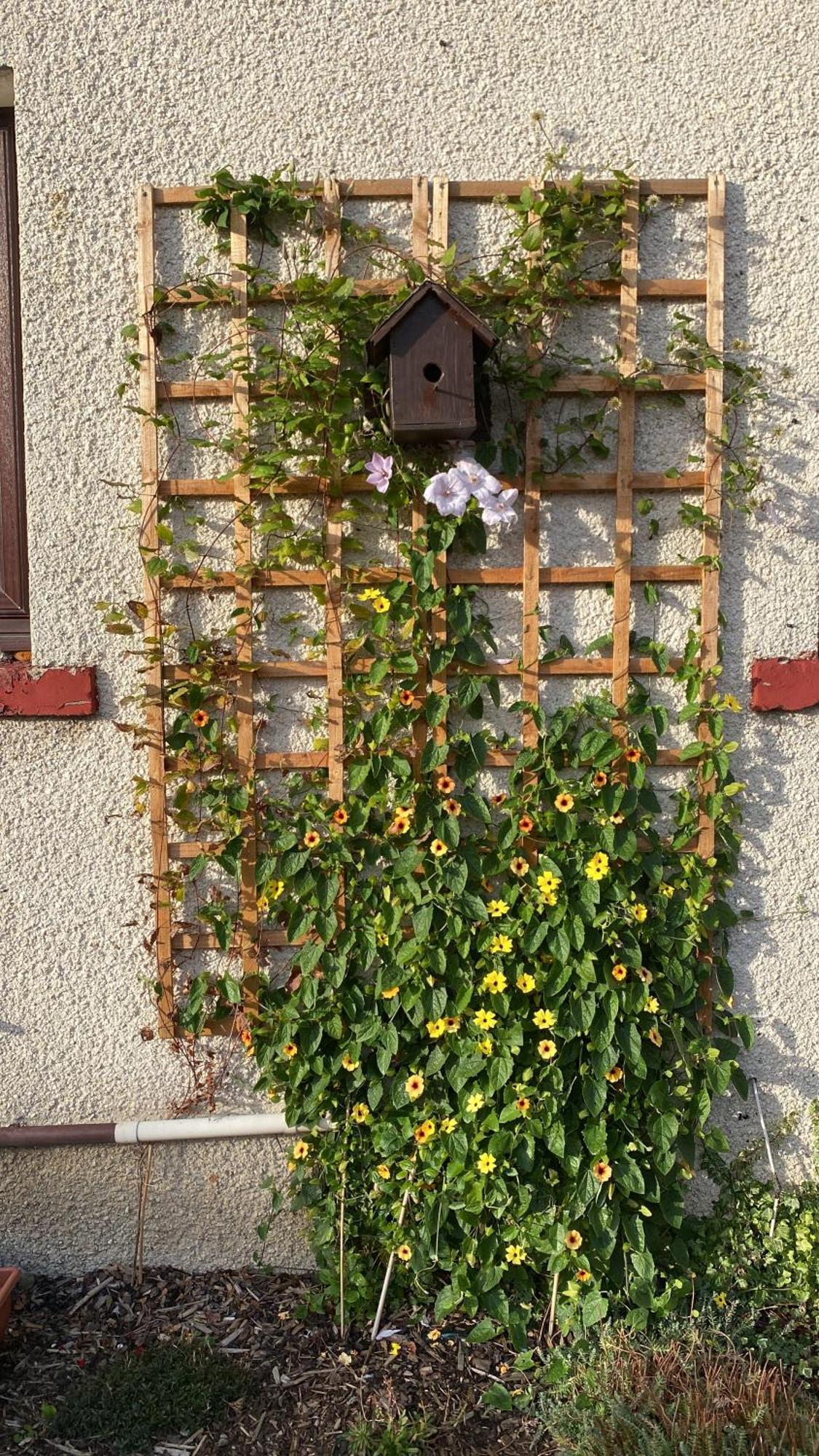 Homestay Frans Place Edinburgh