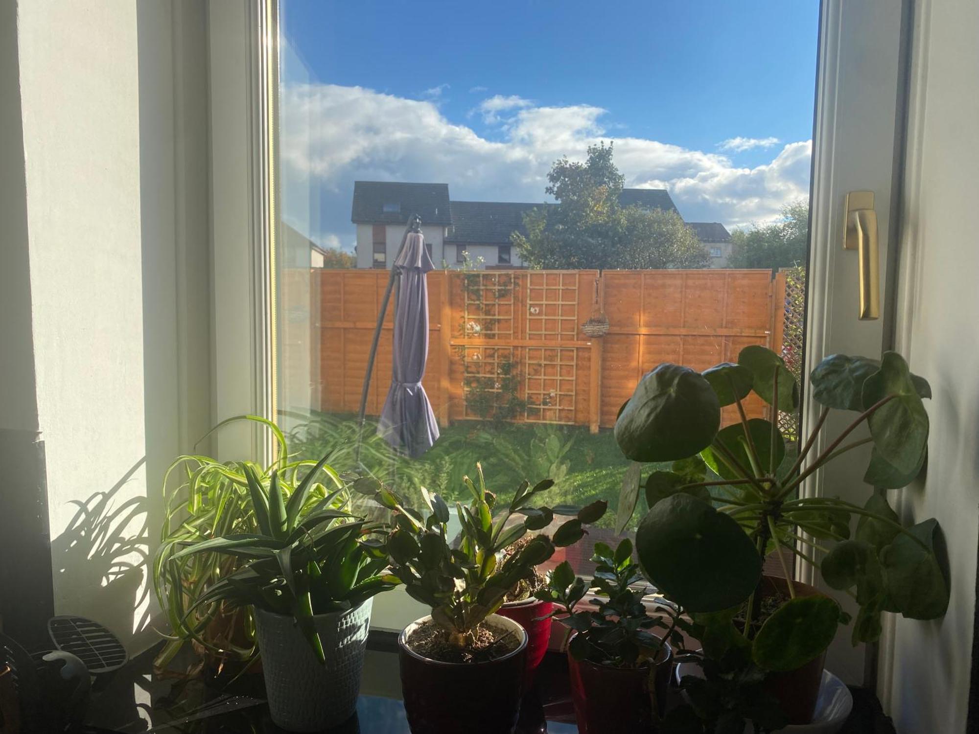 Homestay Frans Place Edinburgh