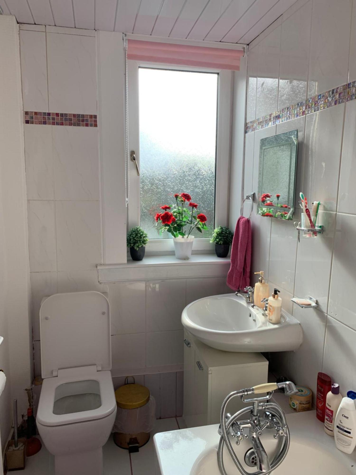 Little Universe Homestay