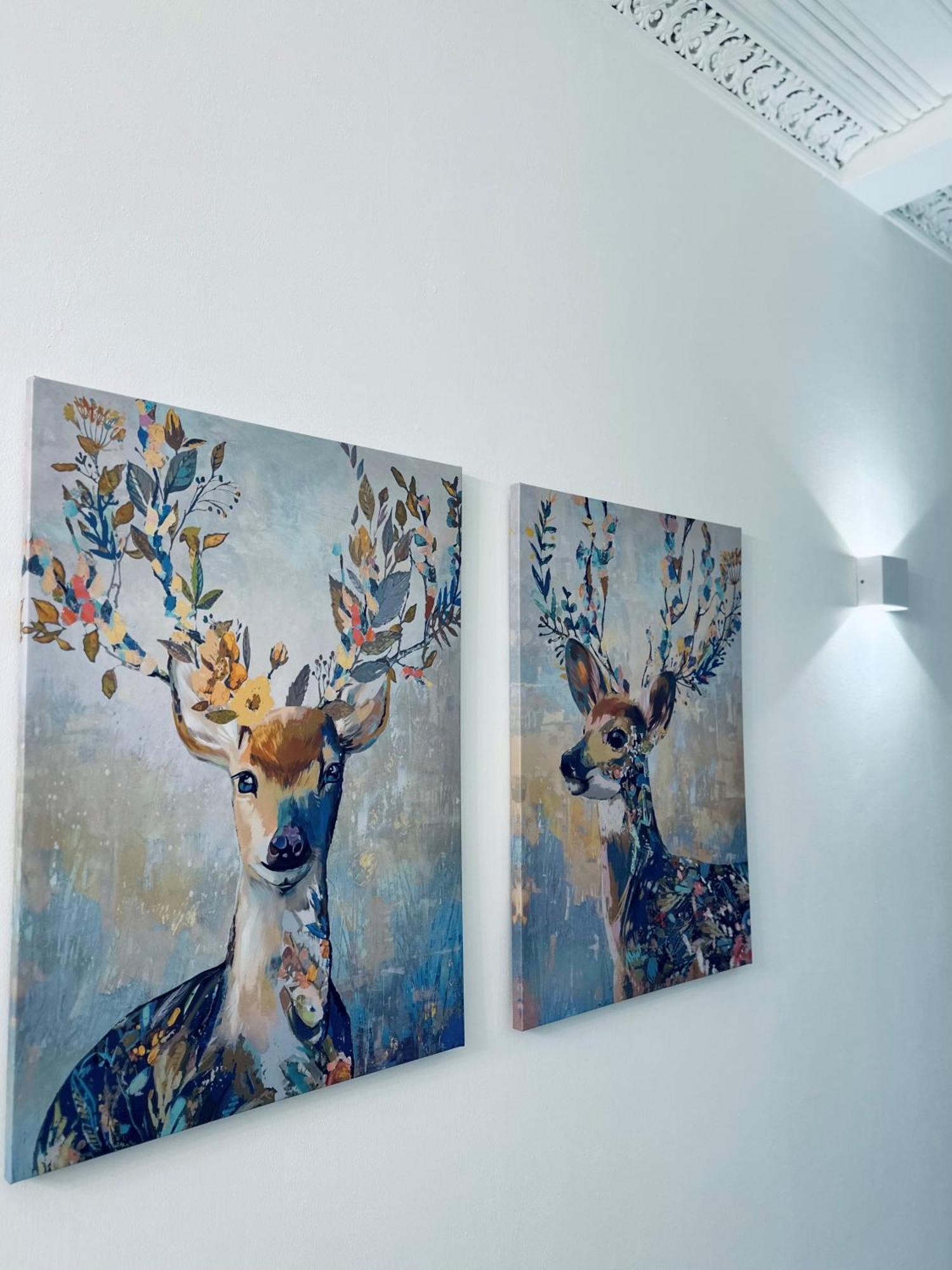 Upmarket Ground Floor In Morningside Apartment *