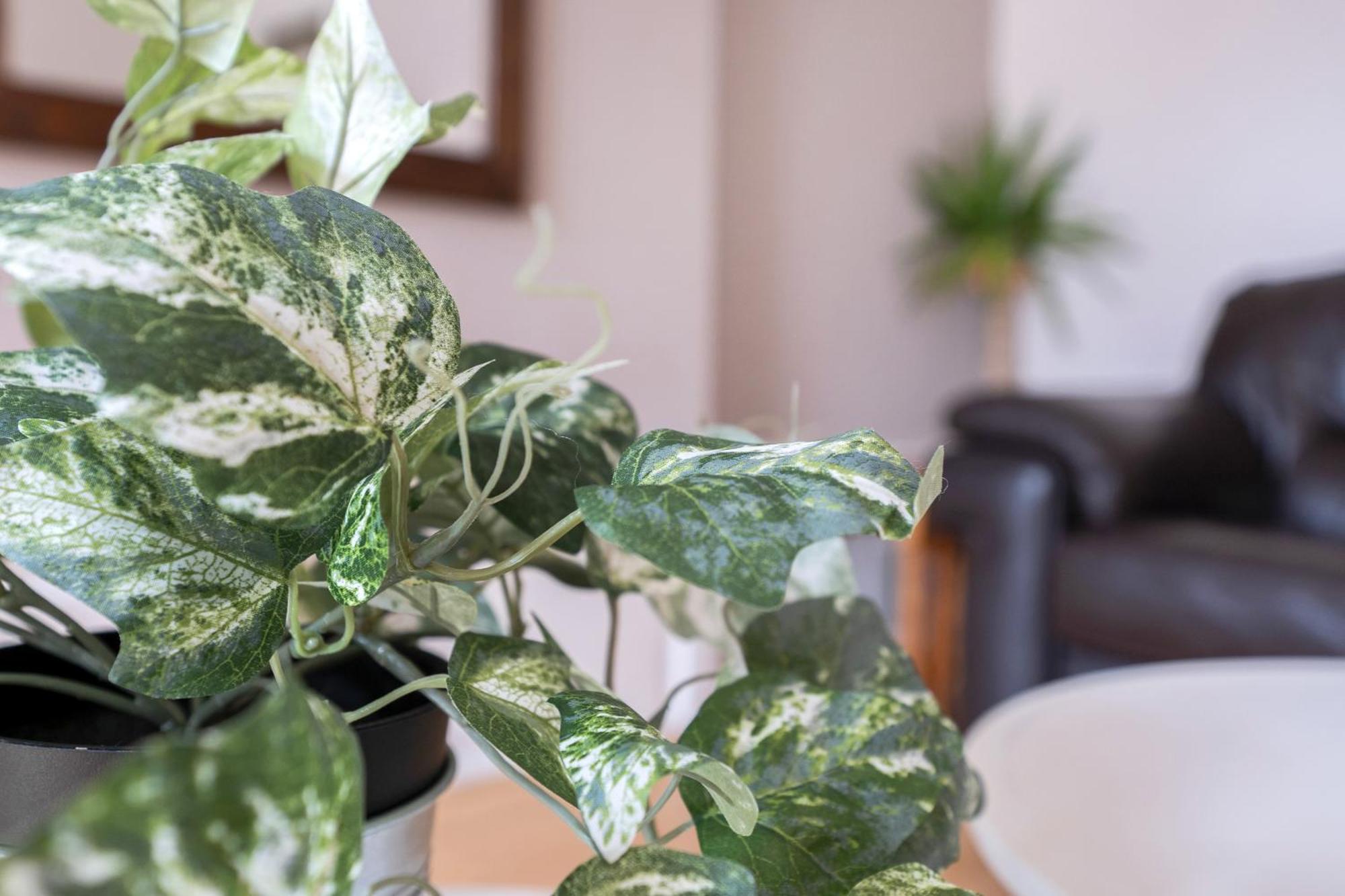Apartment Gorgeous, Cozy 2br Royal Mile-old Town Edinburgh