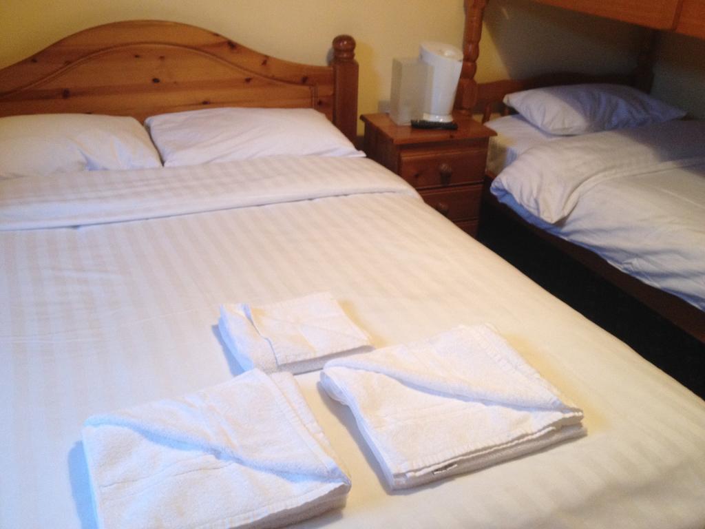 Twin Lions Hotel 2*