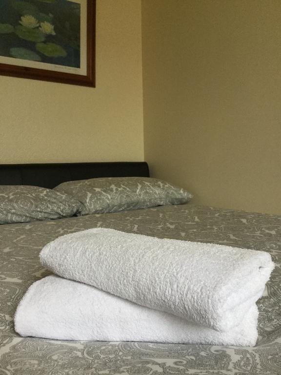Pitt Street Beautiful Spacious Free Parking And Free Sanitizer Apartment