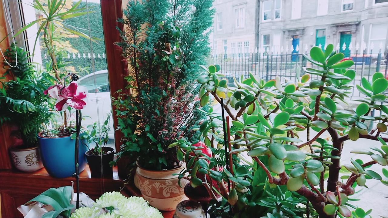 Bed & Breakfast Swan Lake 3*