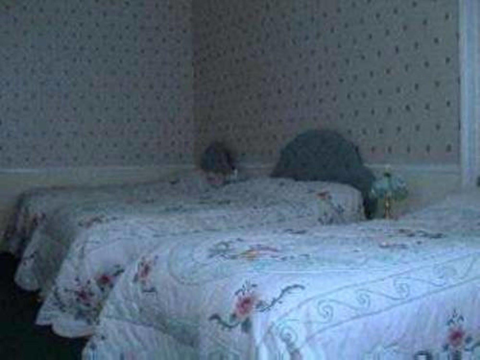 Capital House Guest house Edinburgh