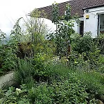 3 Bed Charming Cottage For Share ,, Private Room , Fibre Optik Broadband , Free Parking
