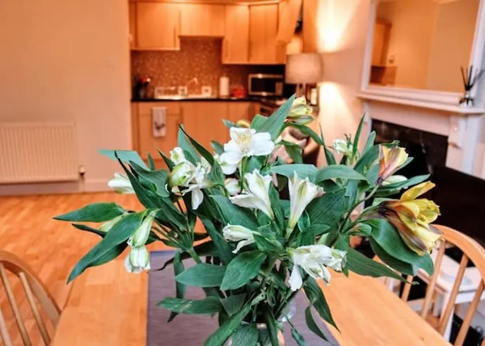 Cosy And Modern Apartment In Central Edinburgh
